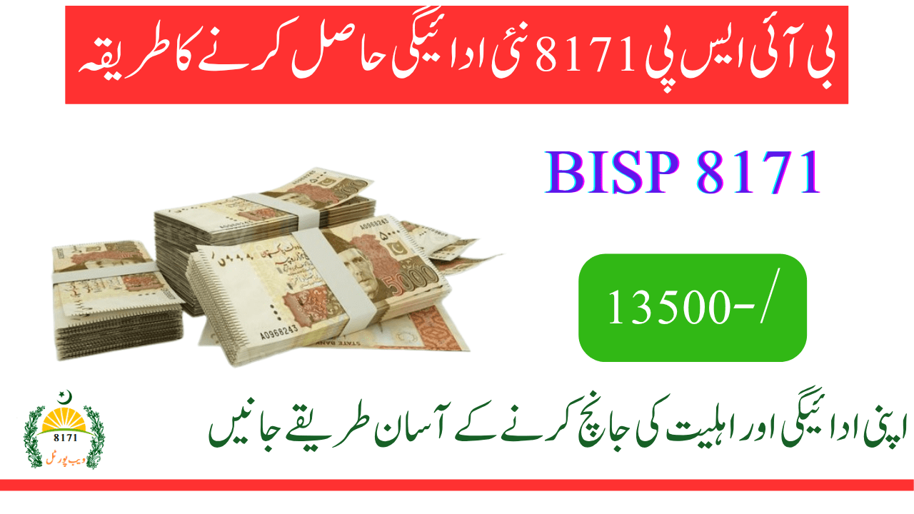 BISP 8171 New Payment