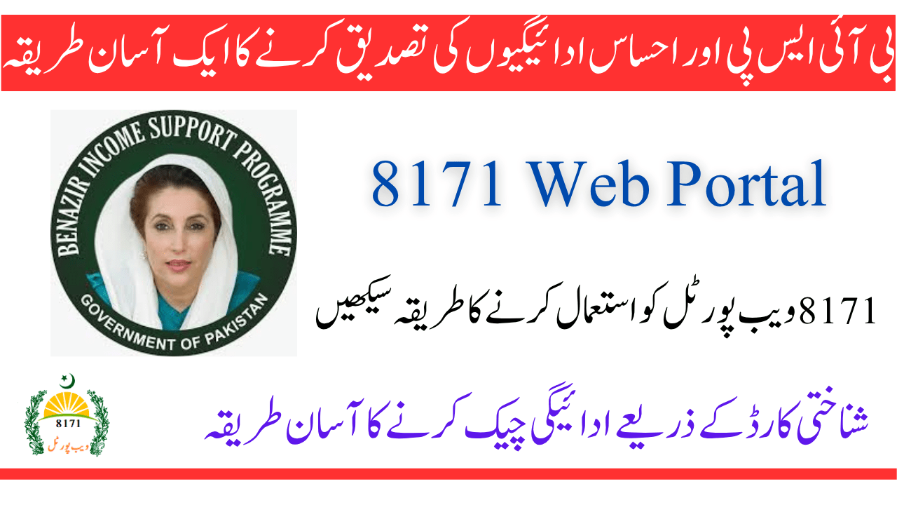 How to Use the 8171 Web Portal