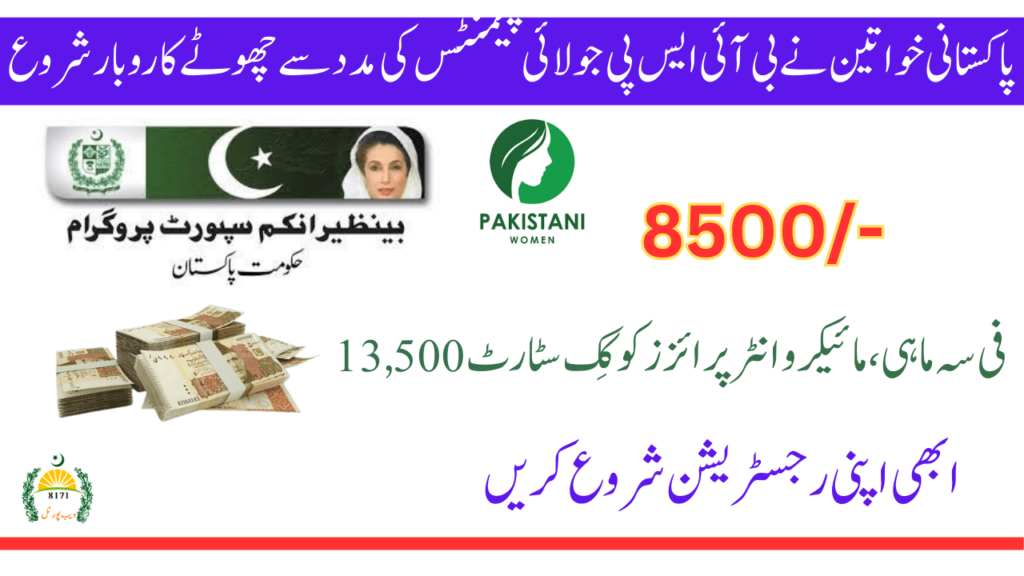 Small Businesses with the Help of BISP July Payments